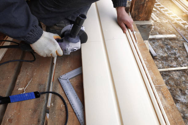 Best Siding Painting and Refinishing  in St Regis Park, KY